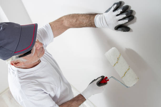 Best Water-Damaged Drywall Repair  in Elk Grove Vlage, IL