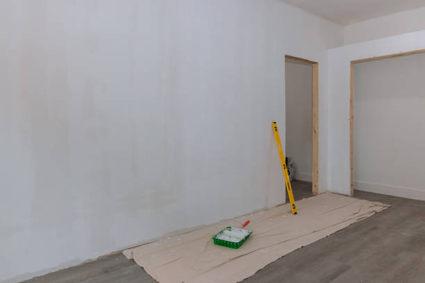 Best Drywall Crack Repair  in Elk Grove Vlage, IL