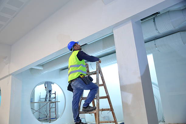 Best Commercial Painting  in Elk Grove Vlage, IL